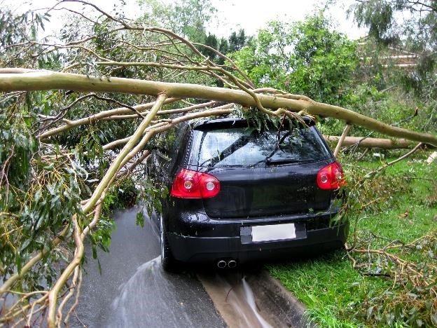 Insurance Tips for Floridians Affected by Irma